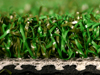mirage green