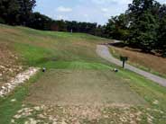 golf putting green