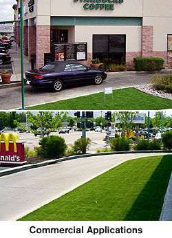 Waterless Grass Commercial